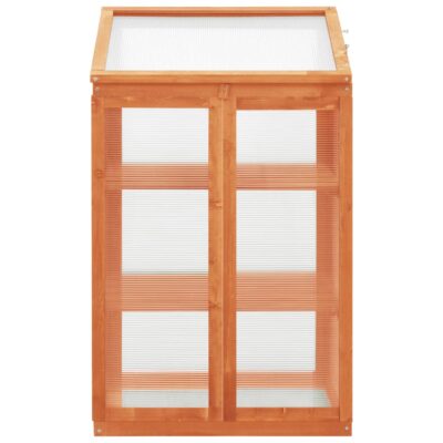 Pflanzenschrank / Mini Gewächshaus / Gewächshaus Schrank aus Tannenholz 60x45x100cm in Orange