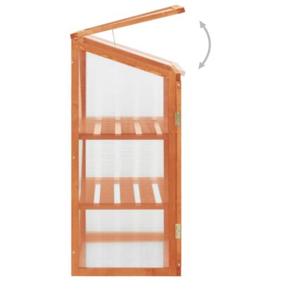 Pflanzenschrank / Mini Gewächshaus / Gewächshaus Schrank aus Tannenholz 60x45x100cm in Orange