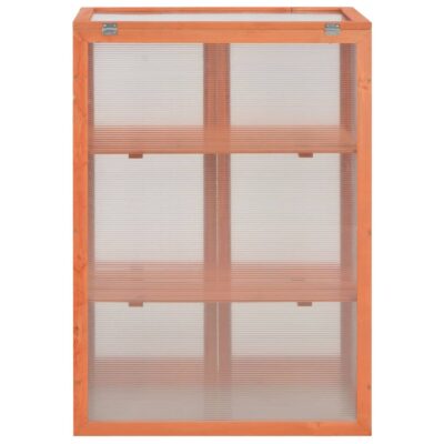 Mini Gewächshaus / Schrank Gewächshaus aus Holz mit Scharnierdeckel -Türen und 2 Regalen 75x47x109cm